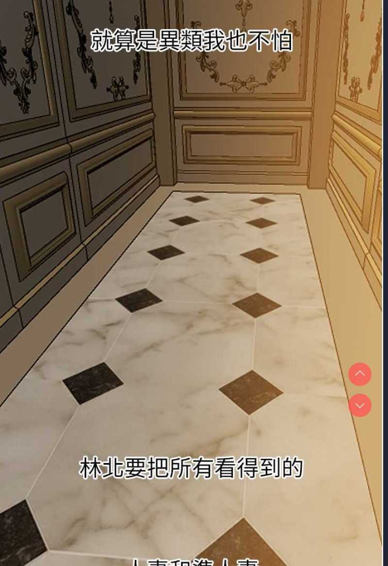 人妻猎人