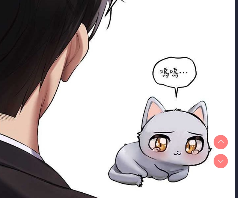 人妻猎人
