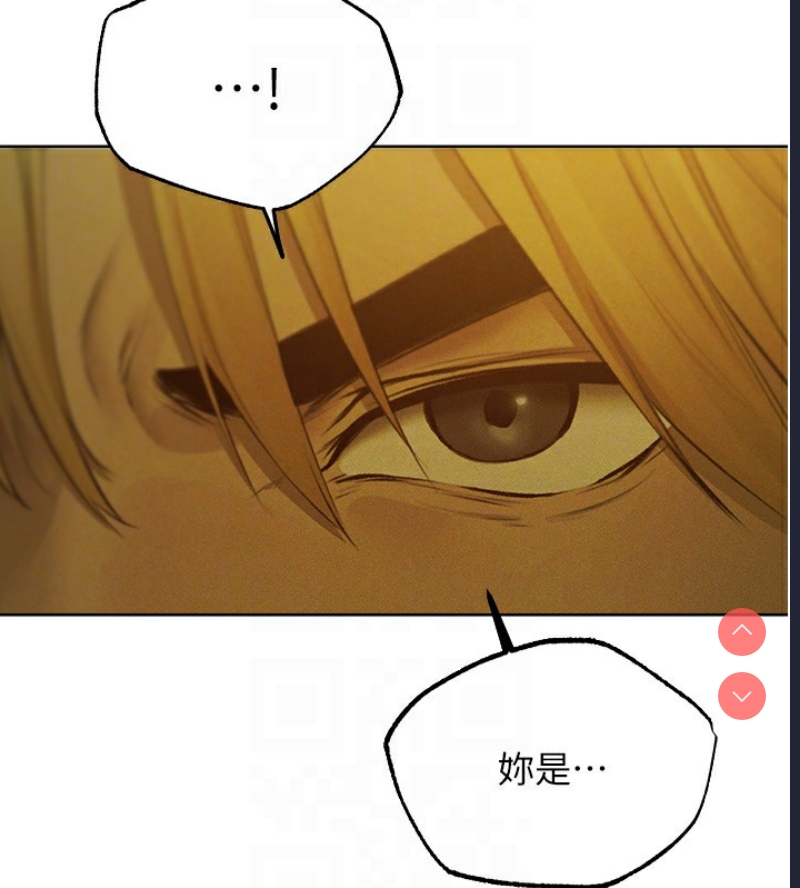 人妻猎人