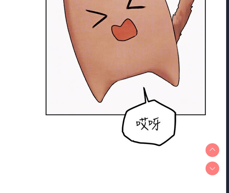 人妻猎人