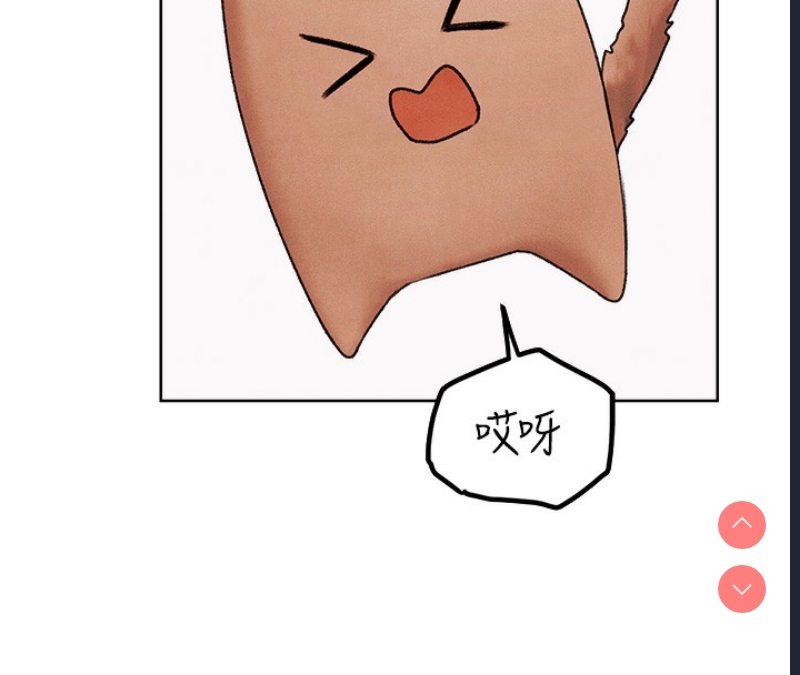 人妻猎人