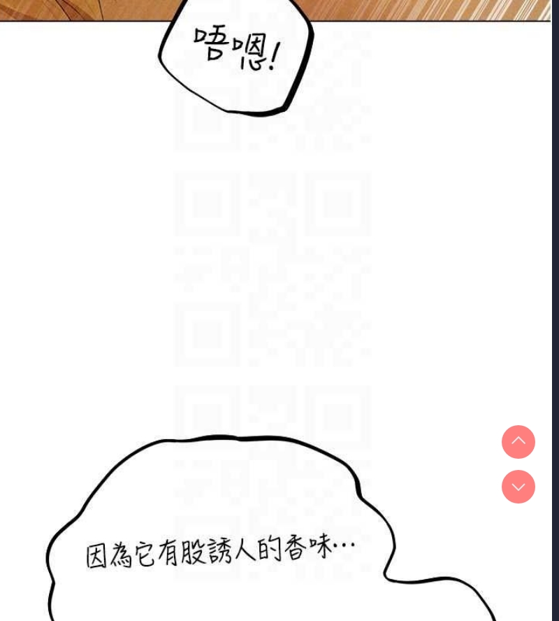 人妻猎人
