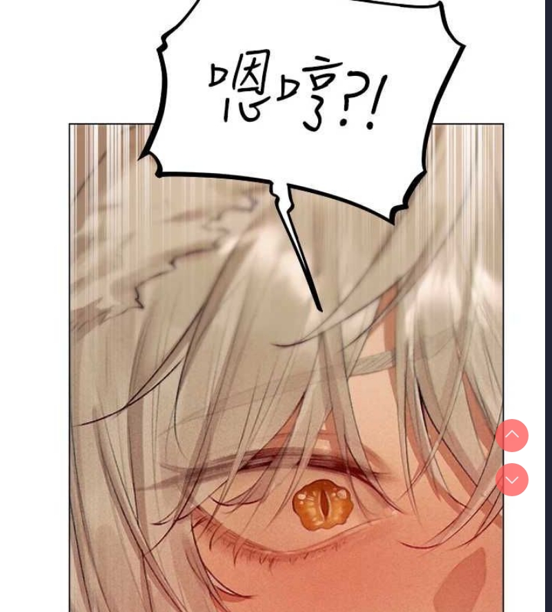 人妻猎人