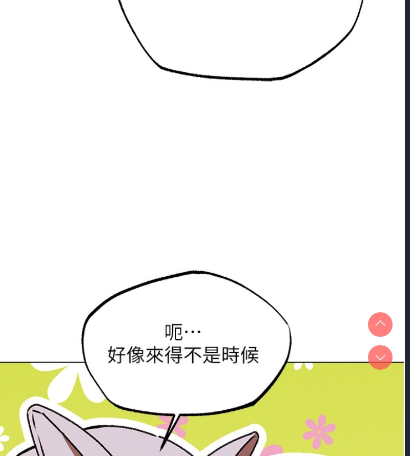 人妻猎人