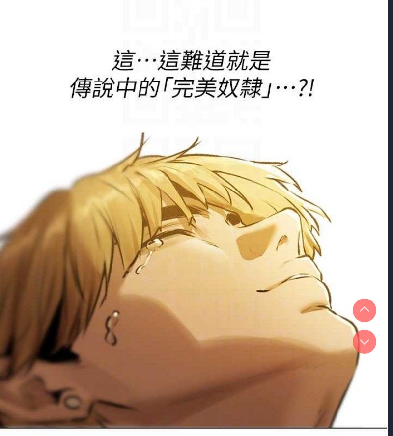 人妻猎人