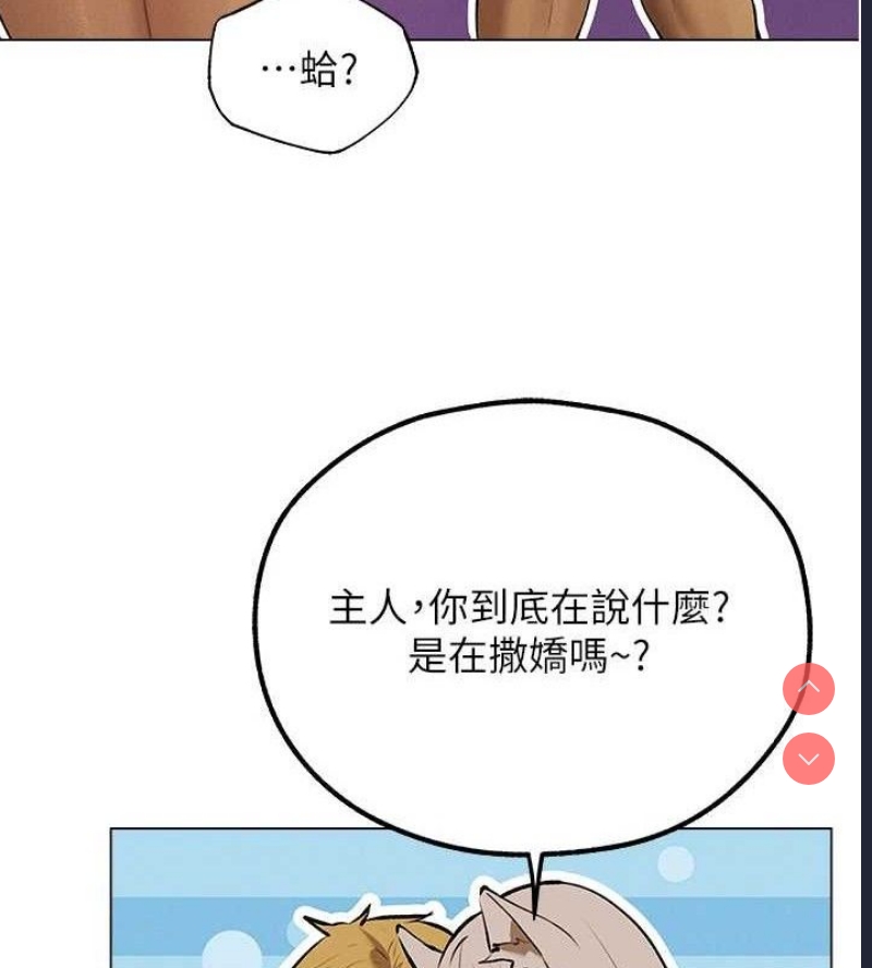 人妻猎人