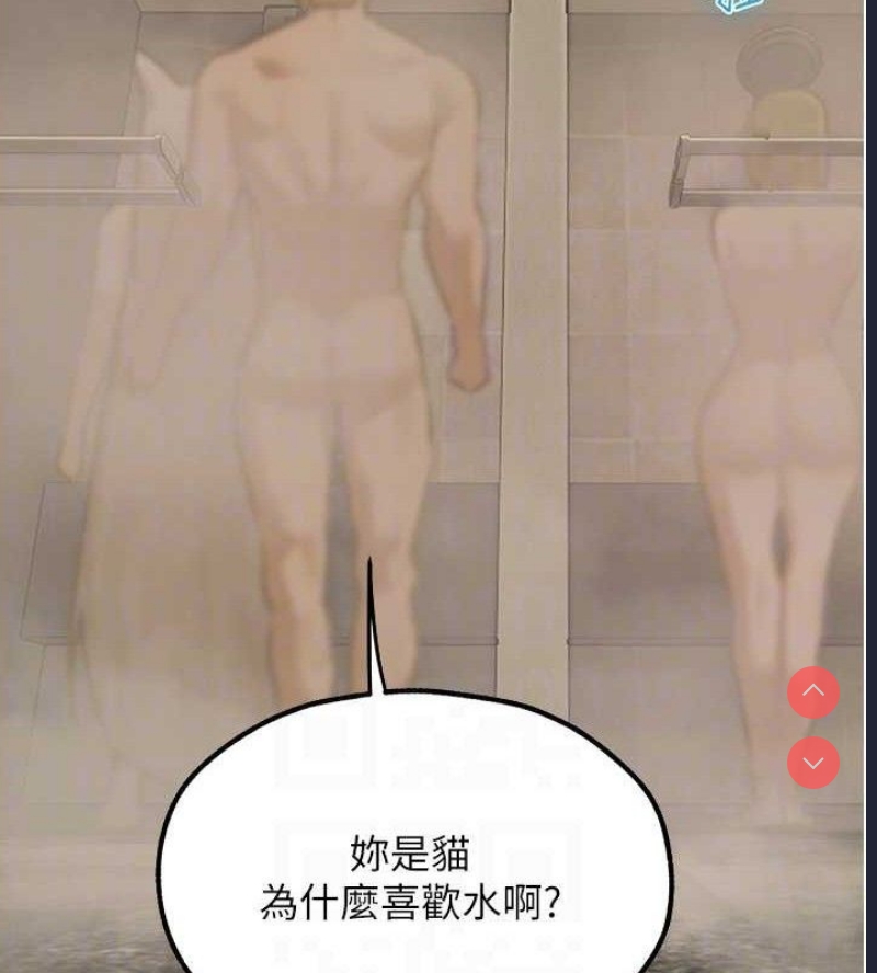 人妻猎人