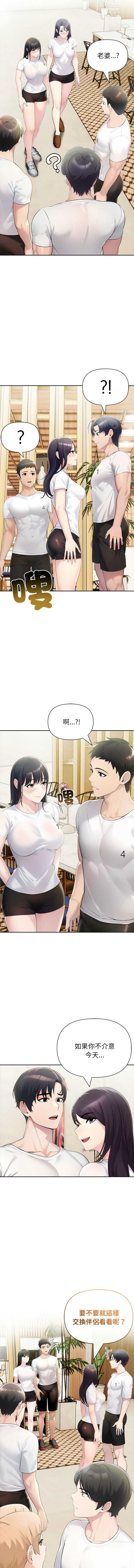 夫妇挑战赛