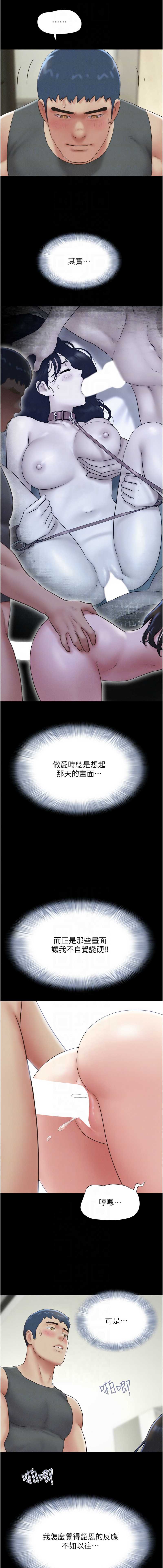 韶恩