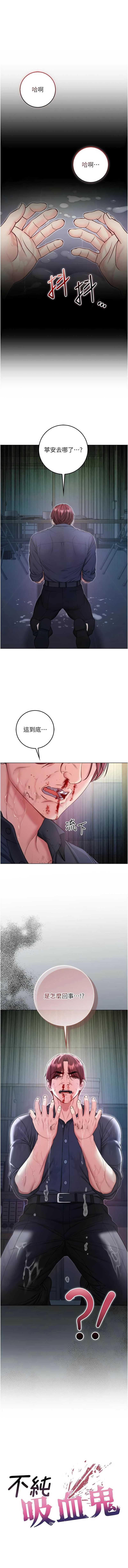 不纯吸血鬼