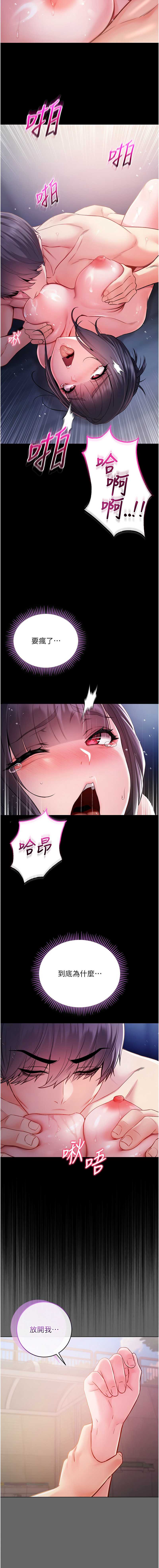 不纯吸血鬼