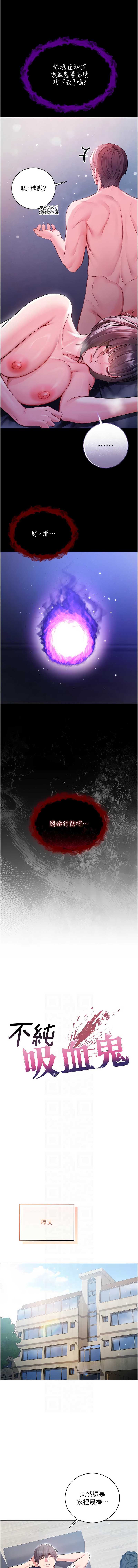 不纯吸血鬼