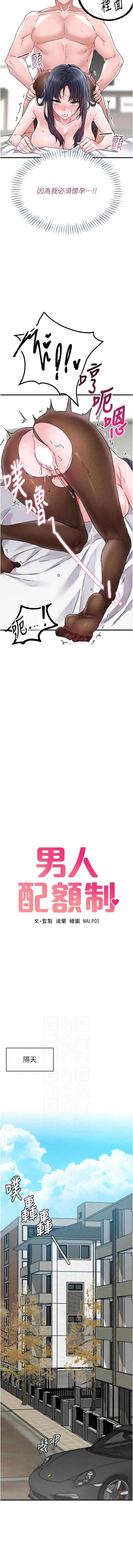 男人配额制