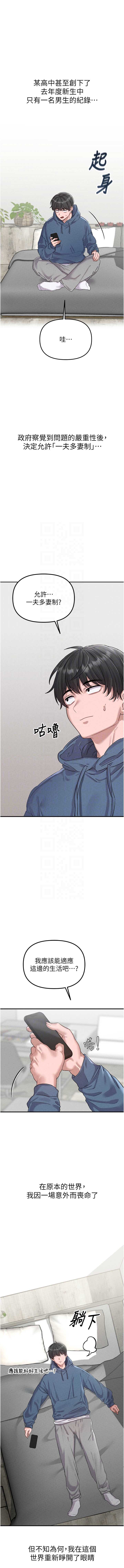 男人配额制