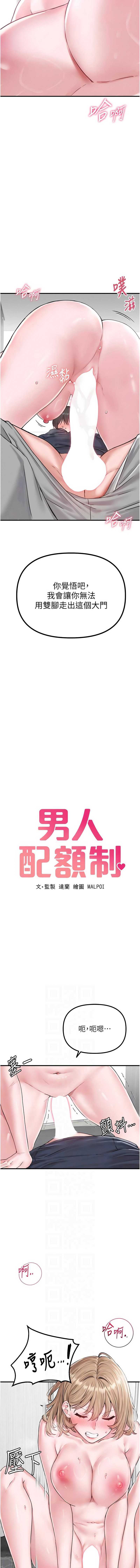 男人配额制