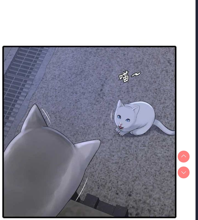 水电工日志