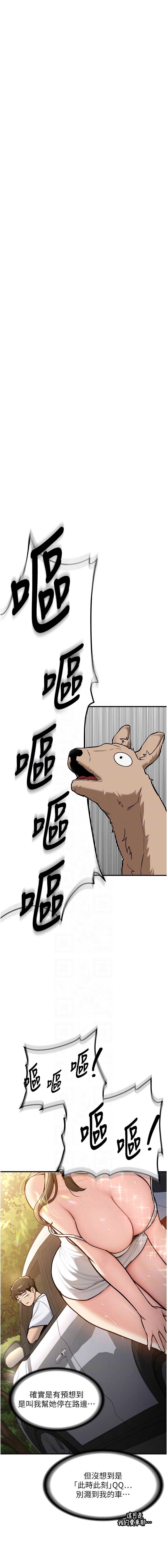 新生老司机