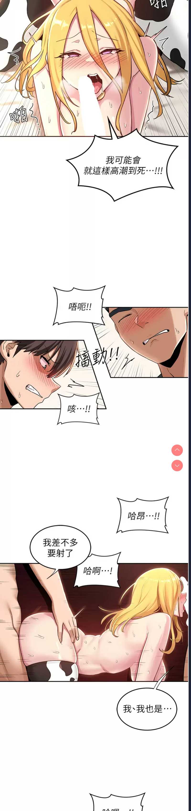 深度交流会