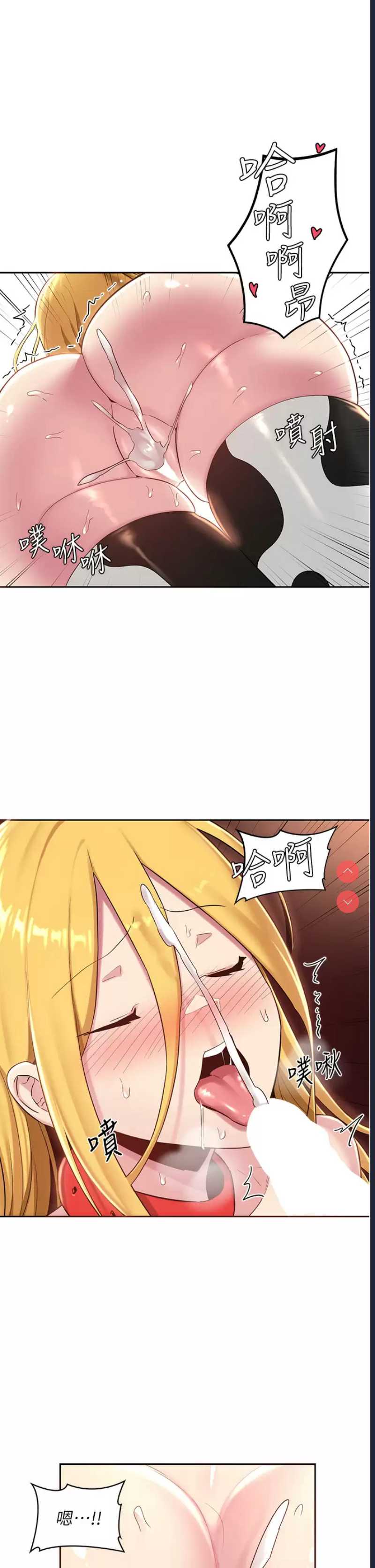 深度交流会