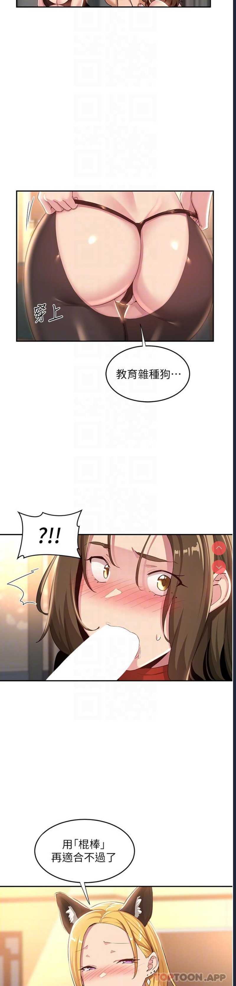 深度交流会
