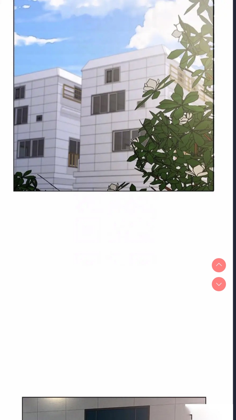 继母的香味