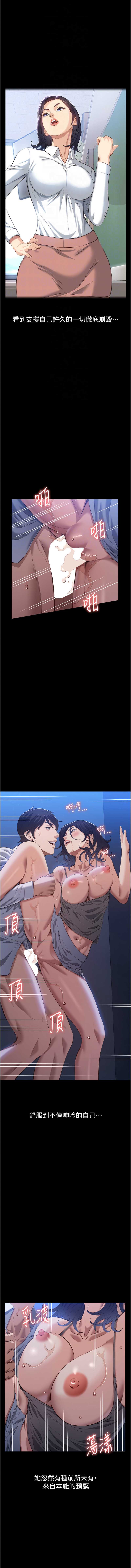 万能履历表
