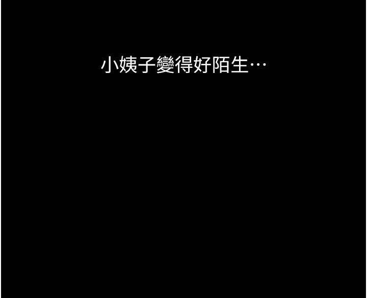 万能履历表
