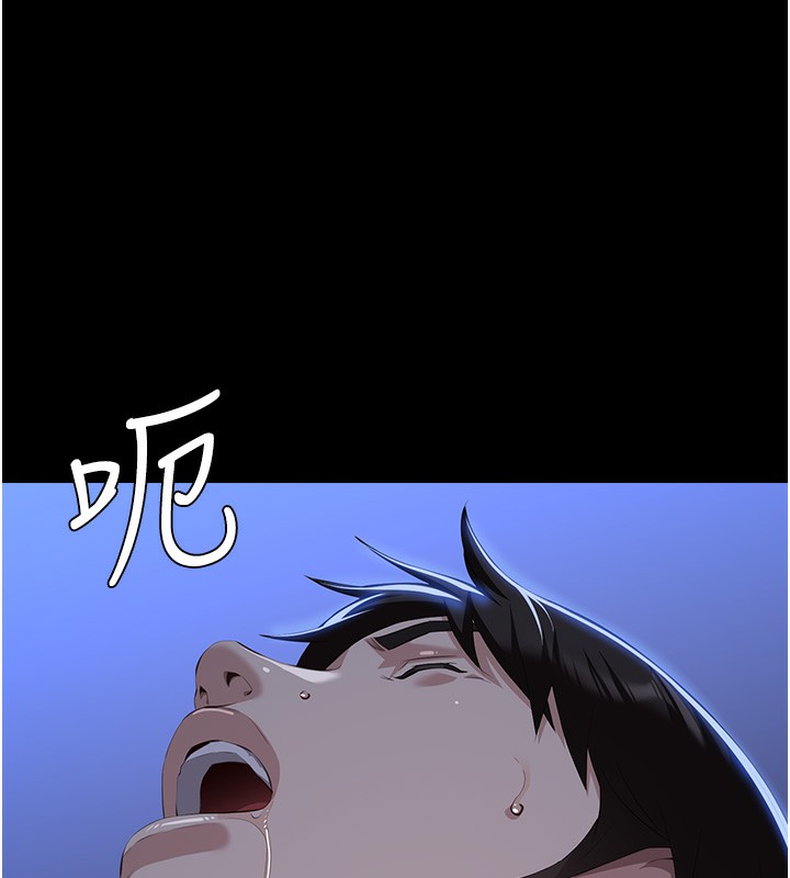 万能履历表