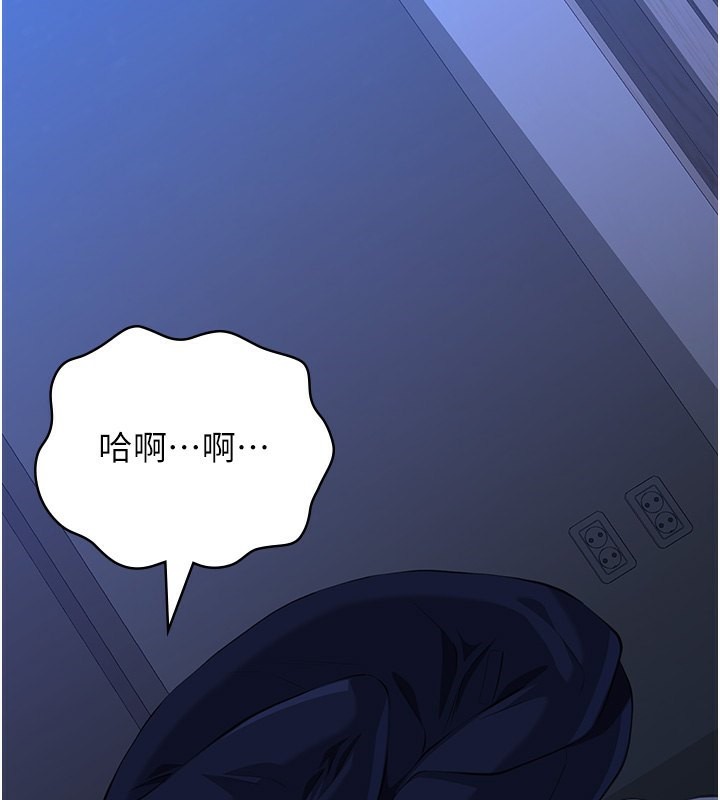 万能履历表