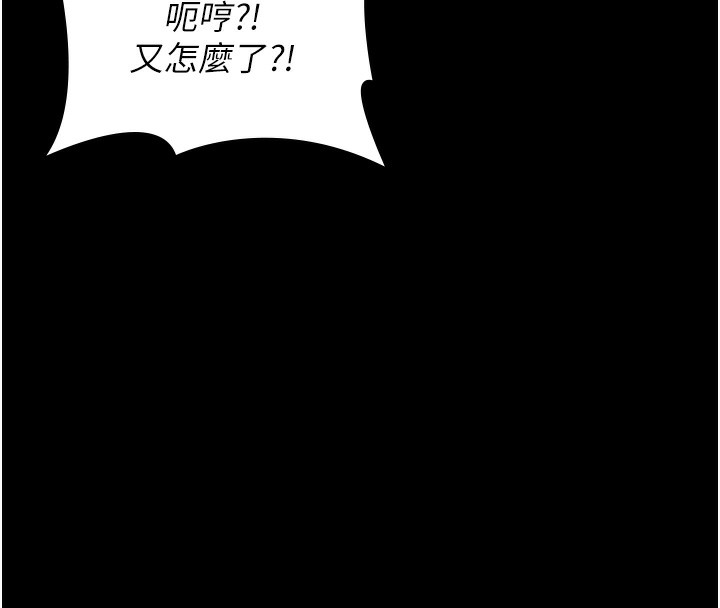 万能履历表