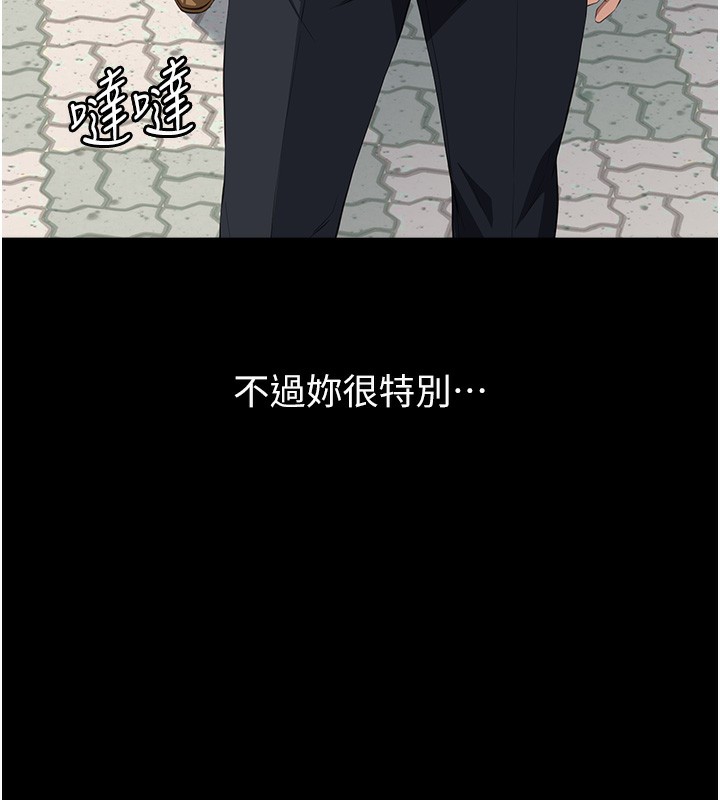 万能履历表