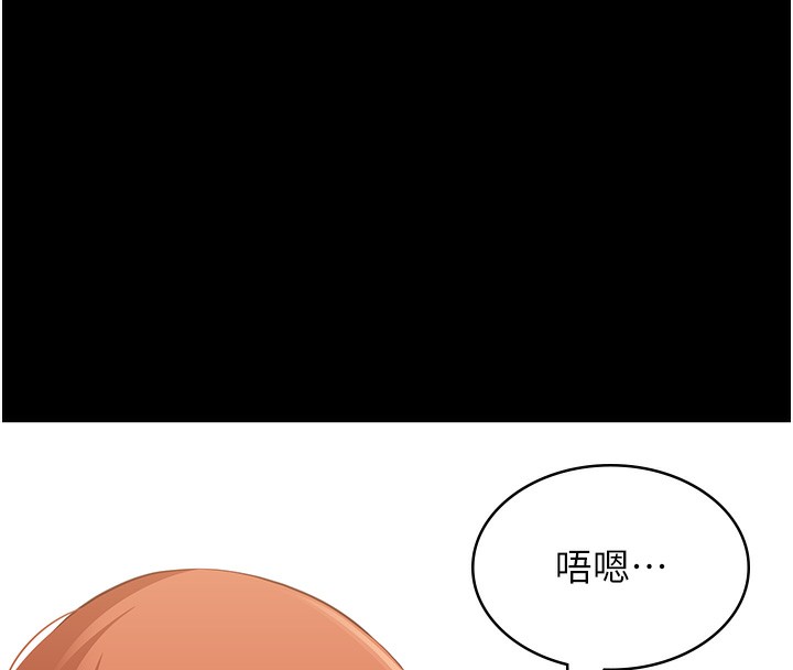 万能履历表