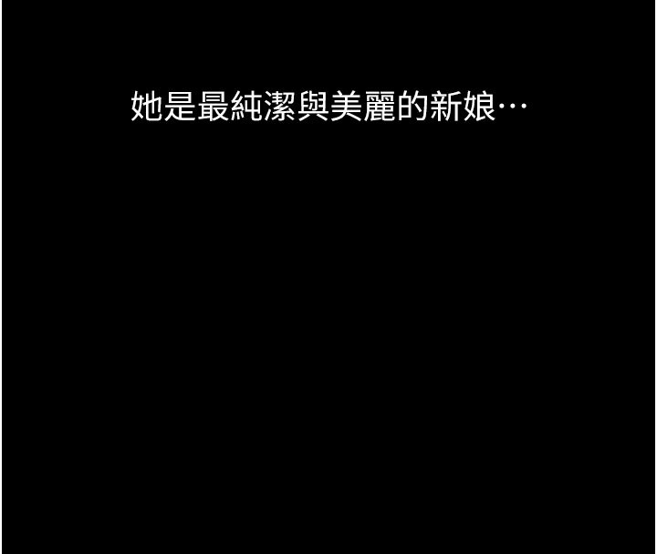 万能履历表