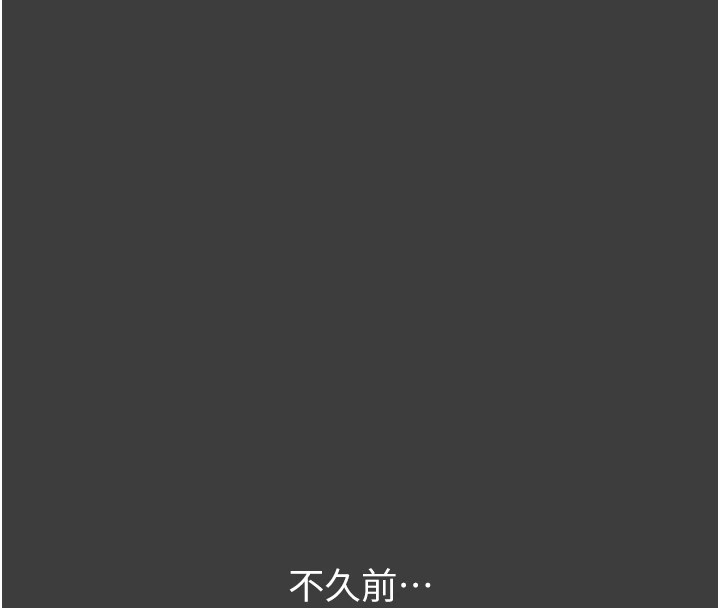 万能履历表