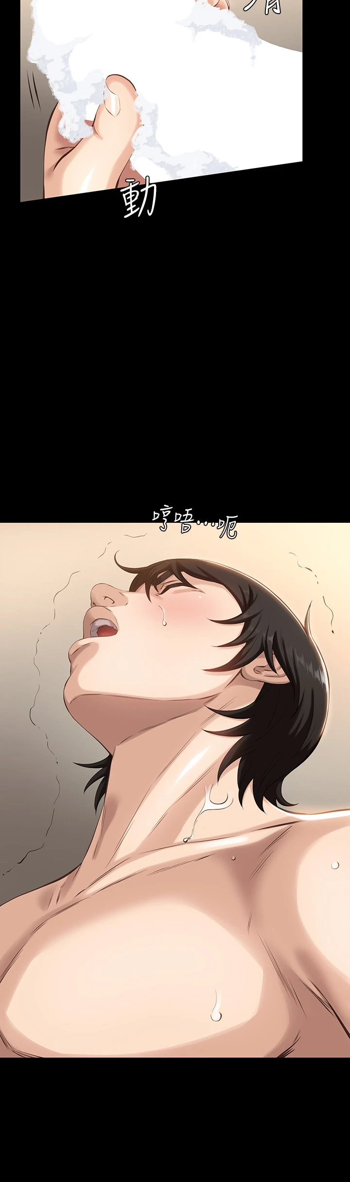 万能履历表