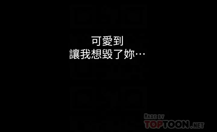万能履历表