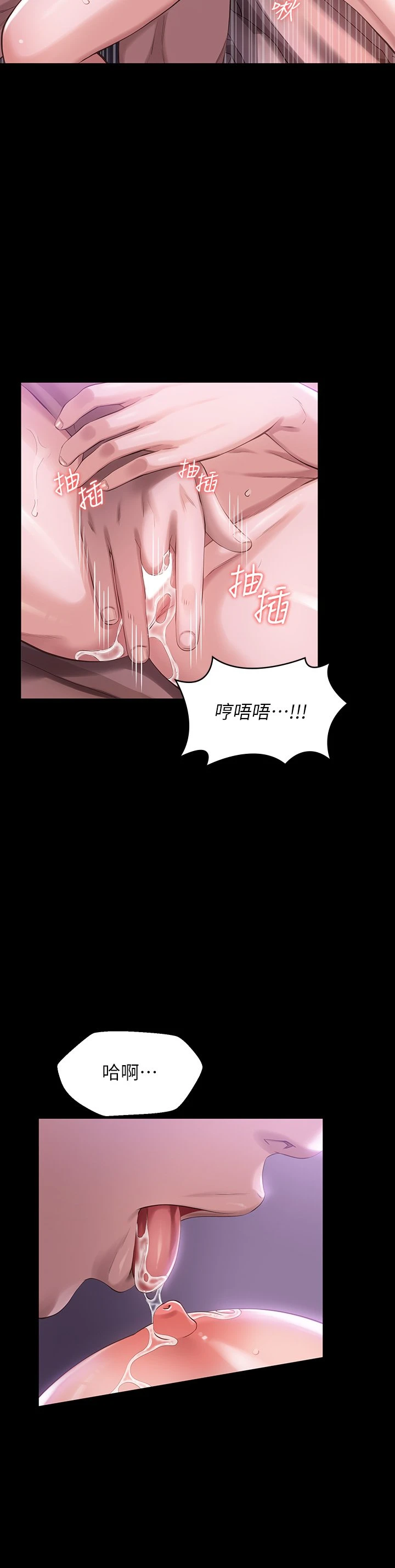 万能履历表