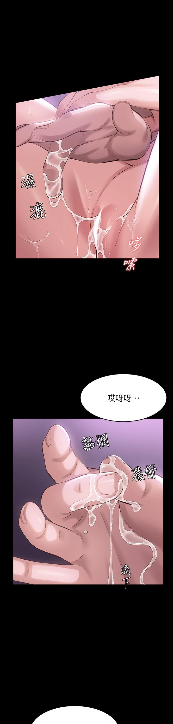 万能履历表