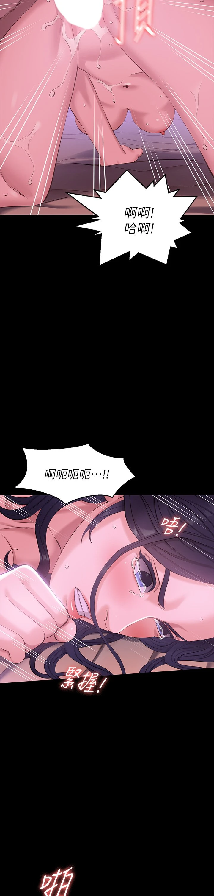 万能履历表