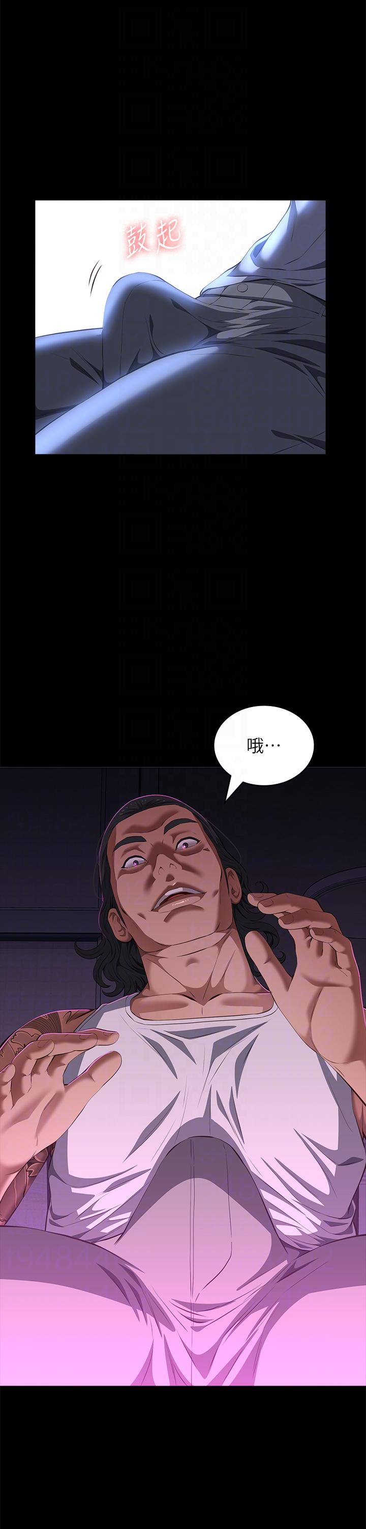 万能履历表