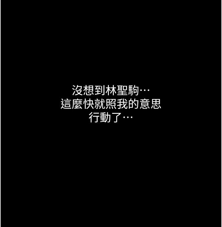 万能履历表