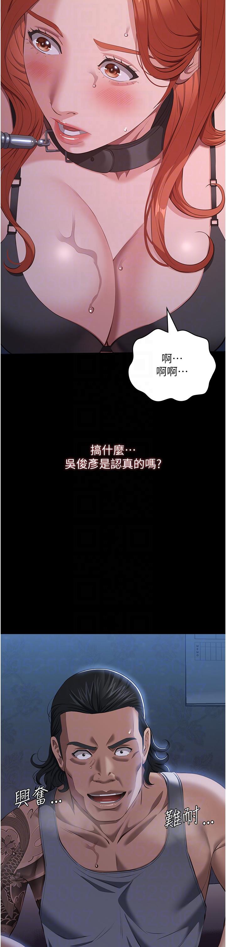 万能履历表