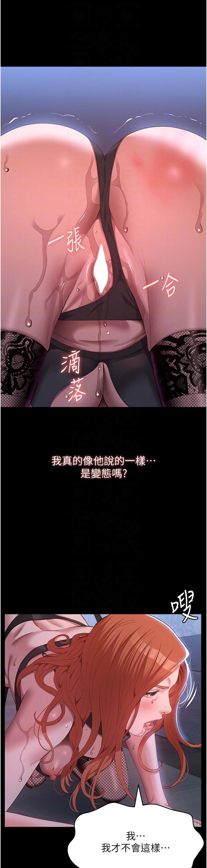 万能履历表