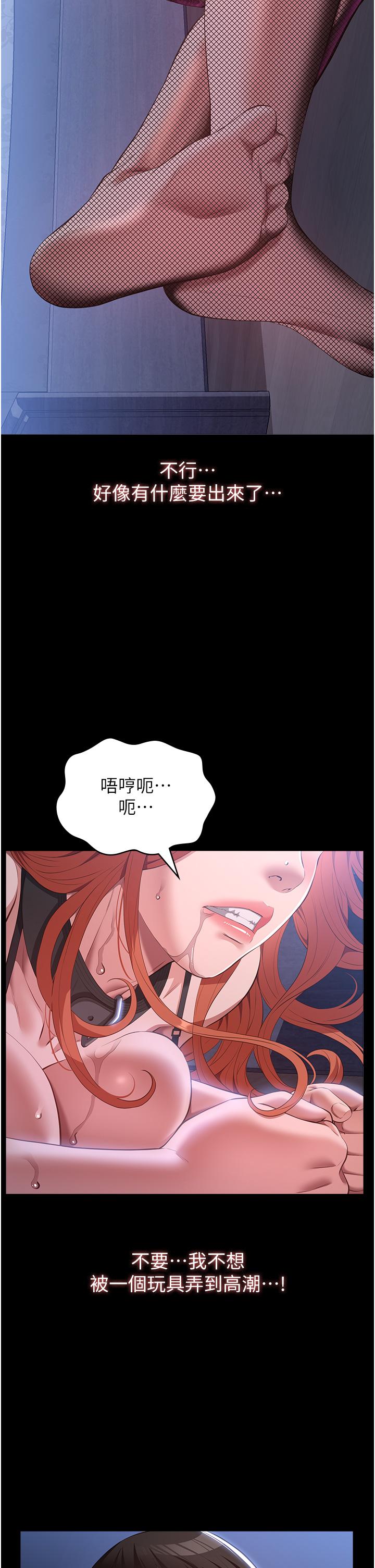 万能履历表