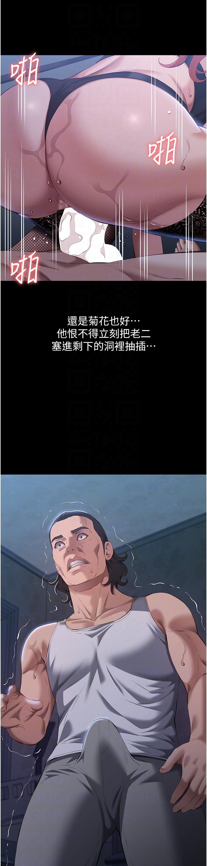 万能履历表