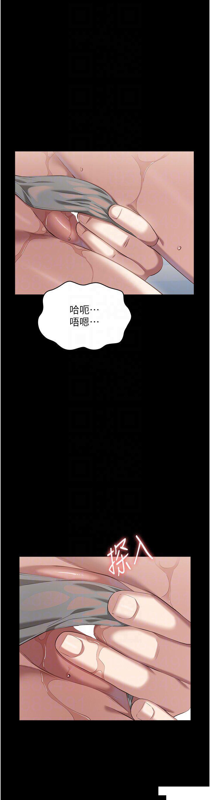 万能履历表