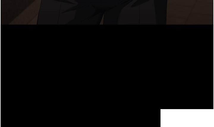 万能履历表