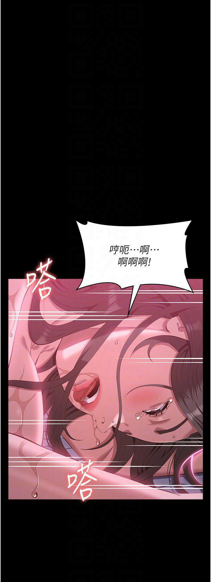 万能履历表