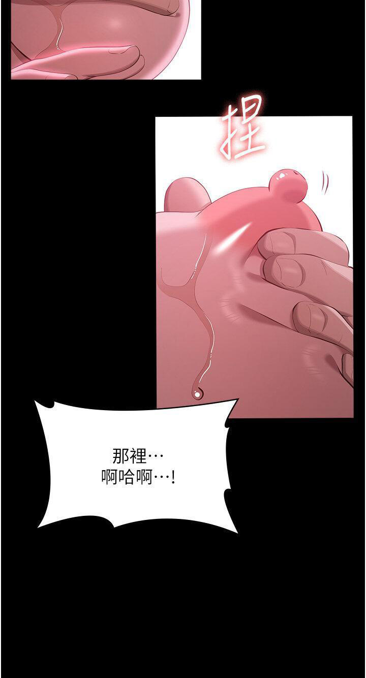 万能履历表