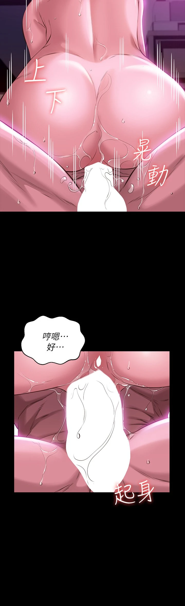 万能履历表